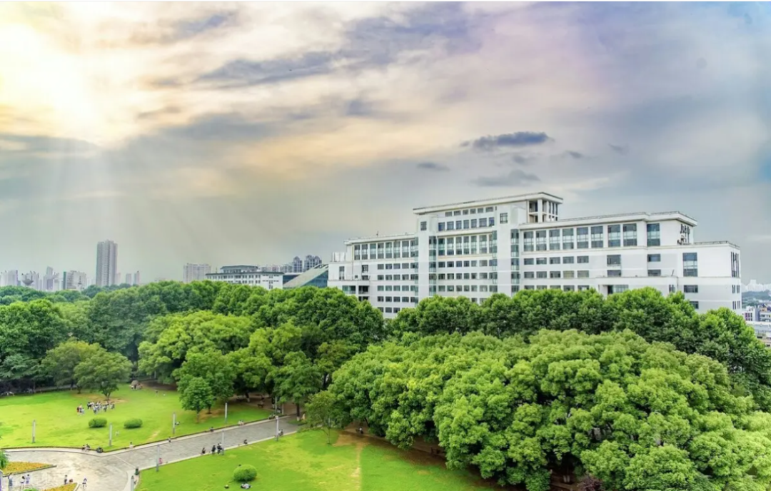 2022年湖北省中小学心理健康教育教学论坛暨优质课交流展示成功举办